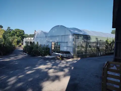 Completed re-sheeted commercial polytunnels at Bodmin Nursery in Cornwall