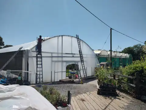 Commercial polytunnel re-sheeting in progress at Bodmin Nursery